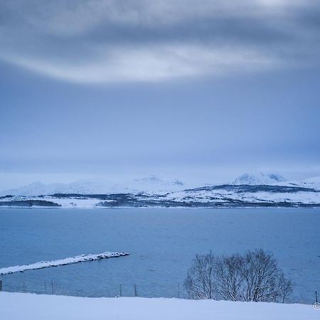 Great Apartment With A Lovely View Of The Sea And Mountains Kvaloya Extérieur photo